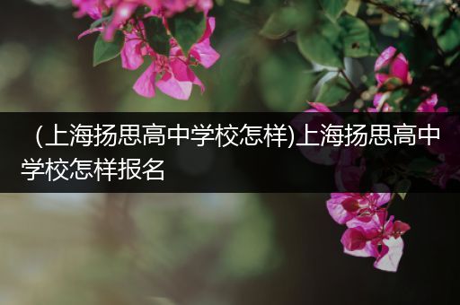 （上海扬思高中学校怎样)上海扬思高中学校怎样报名