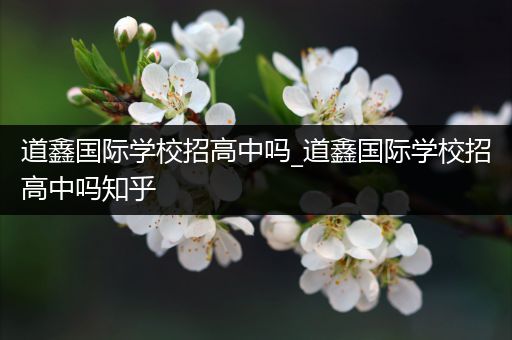 道鑫国际学校招高中吗_道鑫国际学校招高中吗知乎