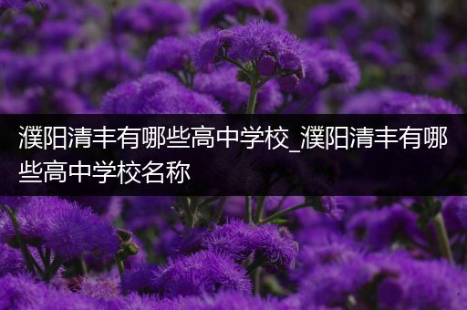 濮阳清丰有哪些高中学校_濮阳清丰有哪些高中学校名称
