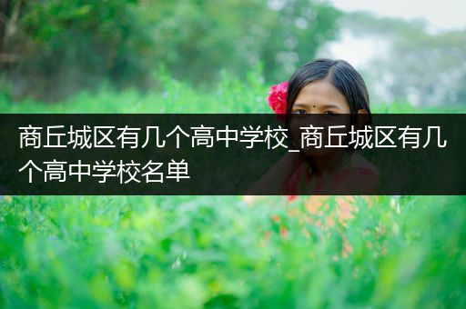 商丘城区有几个高中学校_商丘城区有几个高中学校名单