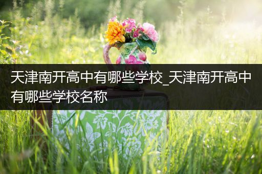 天津南开高中有哪些学校_天津南开高中有哪些学校名称