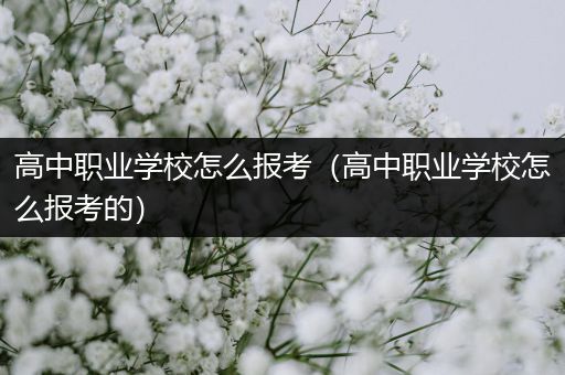 高中职业学校怎么报考（高中职业学校怎么报考的）