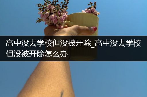高中没去学校但没被开除_高中没去学校但没被开除怎么办
