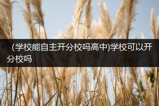 （学校能自主开分校吗高中)学校可以开分校吗