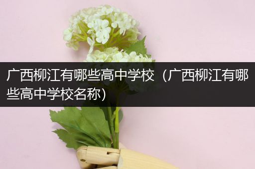 广西柳江有哪些高中学校（广西柳江有哪些高中学校名称）