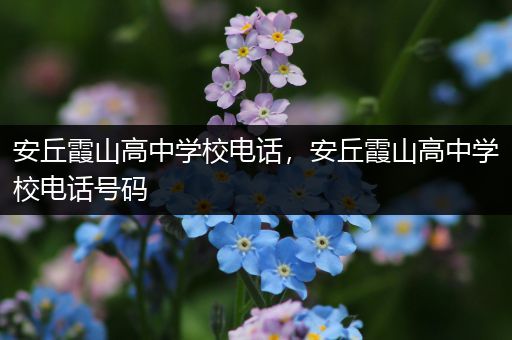 安丘霞山高中学校电话，安丘霞山高中学校电话号码