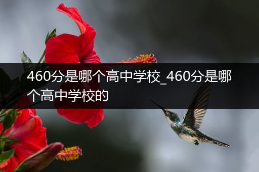 460分是哪个高中学校_460分是哪个高中学校的