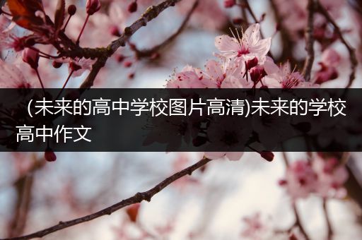 （未来的高中学校图片高清)未来的学校高中作文