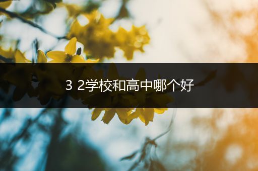 3 2学校和高中哪个好