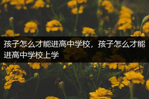 孩子怎么才能进高中学校，孩子怎么才能进高中学校上学