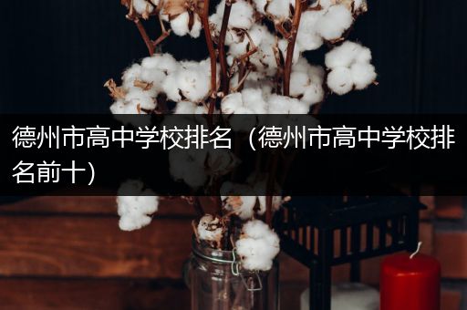 德州市高中学校排名（德州市高中学校排名前十）