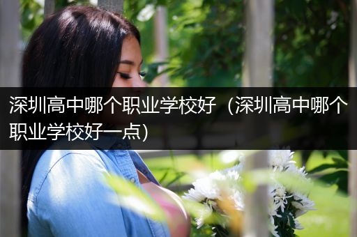 深圳高中哪个职业学校好（深圳高中哪个职业学校好一点）