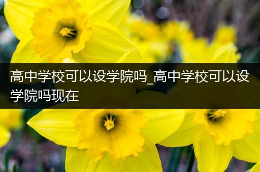 高中学校可以设学院吗_高中学校可以设学院吗现在