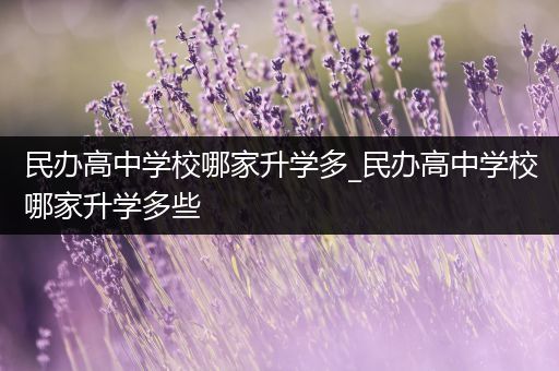 民办高中学校哪家升学多_民办高中学校哪家升学多些