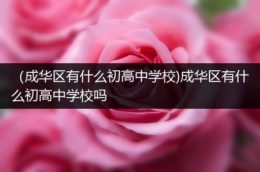 （成华区有什么初高中学校)成华区有什么初高中学校吗