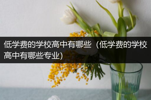 低学费的学校高中有哪些（低学费的学校高中有哪些专业）