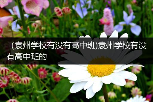 （袁州学校有没有高中班)袁州学校有没有高中班的