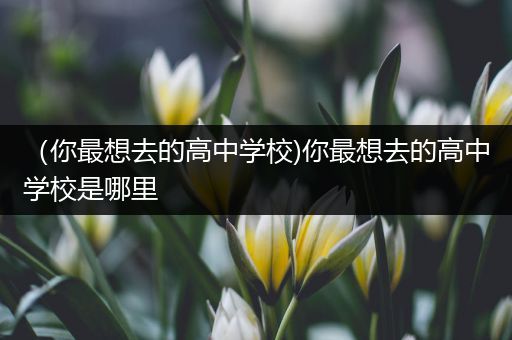 （你最想去的高中学校)你最想去的高中学校是哪里