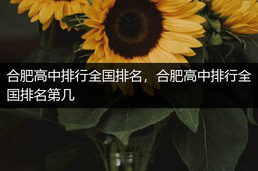 合肥高中排行全国排名，合肥高中排行全国排名第几