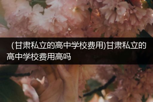 （甘肃私立的高中学校费用)甘肃私立的高中学校费用高吗