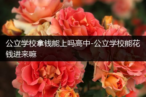 公立学校拿钱能上吗高中-公立学校能花钱进来嘛