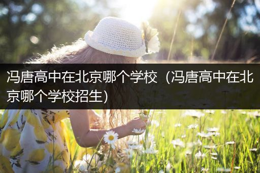 冯唐高中在北京哪个学校（冯唐高中在北京哪个学校招生）