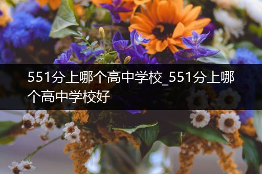 551分上哪个高中学校_551分上哪个高中学校好