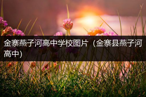 金寨燕子河高中学校图片（金寨县燕子河高中）