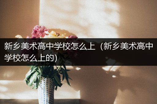 新乡美术高中学校怎么上（新乡美术高中学校怎么上的）