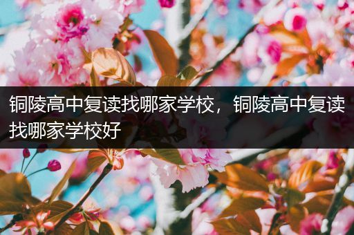 铜陵高中复读找哪家学校，铜陵高中复读找哪家学校好