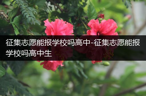 征集志愿能报学校吗高中-征集志愿能报学校吗高中生