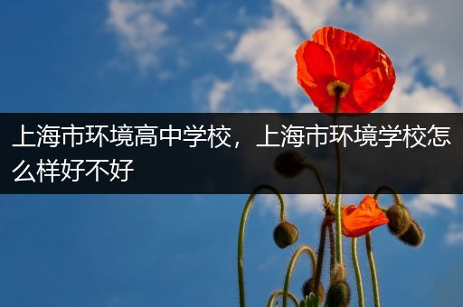 上海市环境高中学校，上海市环境学校怎么样好不好