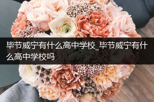 毕节威宁有什么高中学校_毕节威宁有什么高中学校吗