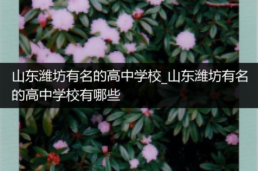 山东潍坊有名的高中学校_山东潍坊有名的高中学校有哪些