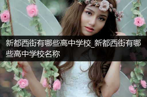 新都西街有哪些高中学校_新都西街有哪些高中学校名称
