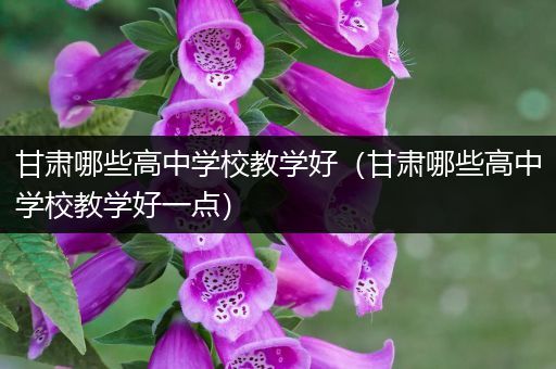 甘肃哪些高中学校教学好（甘肃哪些高中学校教学好一点）