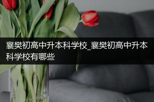 襄樊初高中升本科学校_襄樊初高中升本科学校有哪些