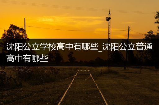 沈阳公立学校高中有哪些_沈阳公立普通高中有哪些