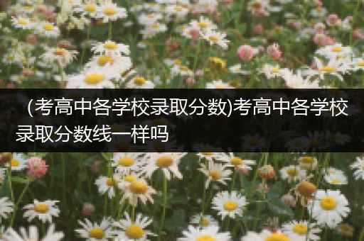 （考高中各学校录取分数)考高中各学校录取分数线一样吗