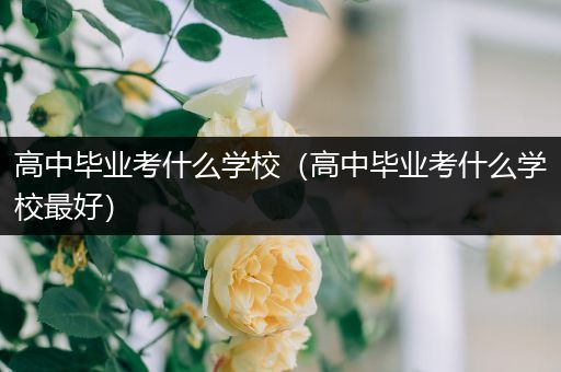 高中毕业考什么学校（高中毕业考什么学校最好）