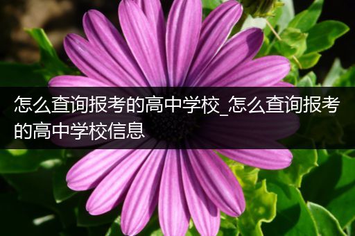 怎么查询报考的高中学校_怎么查询报考的高中学校信息