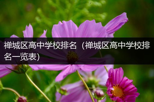 禅城区高中学校排名（禅城区高中学校排名一览表）