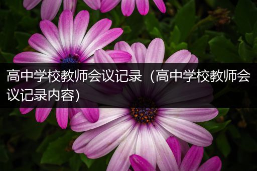 高中学校教师会议记录（高中学校教师会议记录内容）