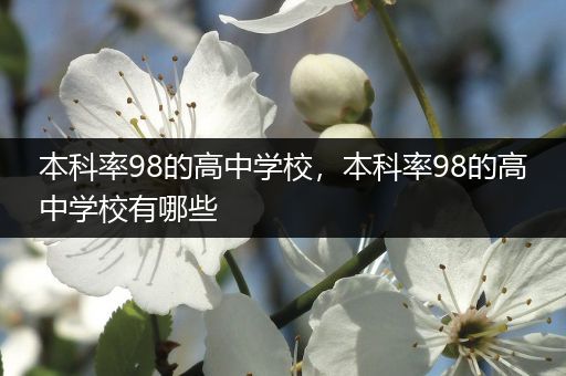 本科率98的高中学校，本科率98的高中学校有哪些