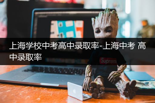 上海学校中考高中录取率-上海中考 高中录取率