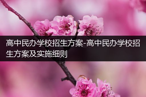 高中民办学校招生方案-高中民办学校招生方案及实施细则