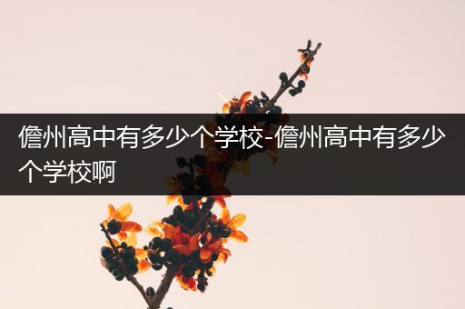 儋州高中有多少个学校-儋州高中有多少个学校啊