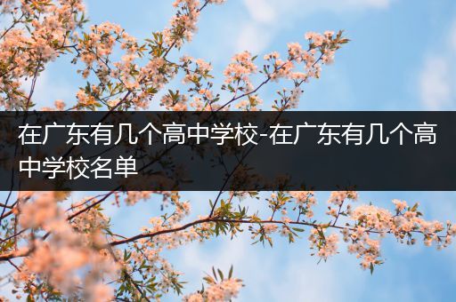 在广东有几个高中学校-在广东有几个高中学校名单