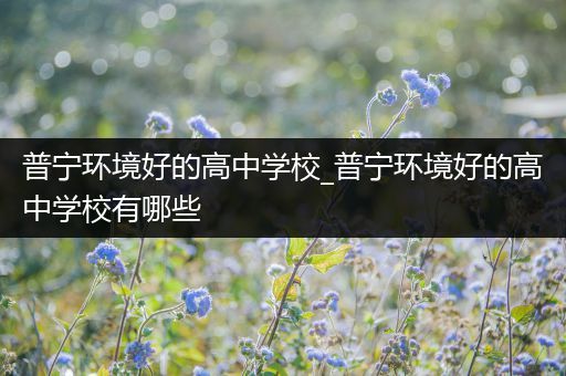 普宁环境好的高中学校_普宁环境好的高中学校有哪些