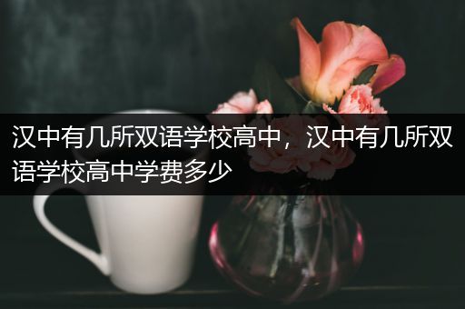 汉中有几所双语学校高中，汉中有几所双语学校高中学费多少